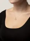 GÜMÜŞ ZODİAC BOĞA BURÇU 